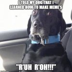 black lab wide eyed dog | I TOLD MY DOG THAT I LEARNED HOW TO MAKE MEME'S; "R'UH  R'OH!!!" | image tagged in black lab wide eyed dog | made w/ Imgflip meme maker
