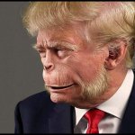 Donald j Trump