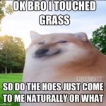 I touched grass