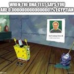 half asleep cris is a youtuber known for his lego creations and cats | WHEN THE DNA TEST SAYS YOU ARE 0.0000000000000001% EGYPTIAN | image tagged in spongebob praying | made w/ Imgflip meme maker