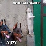 Happy New Year | MAYBE IT WILL PASS ME BY; 2022 | image tagged in cat hiding from dogs,2022,new year memes,funny new year memes,funny cat memes,funny dog memes | made w/ Imgflip meme maker