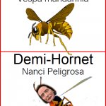 Demi Hornet