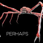 perhaps crab