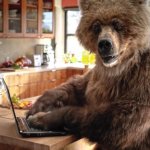 Bear On A Computer