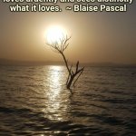 Clarity of Mind | Clarity of mind means clarity of passion, too; this is why a great and clear mind loves ardently and sees distinctly what it loves.  ~ Blaise Pascal | image tagged in water,pascal,positive,clarity | made w/ Imgflip meme maker
