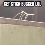 get stick bugged lol GIF Template