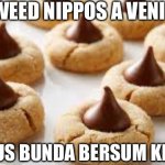 Peanut Butter Blossom Cookies | SWEED NIPPOS A VENIS! IS PENUS BUNDA BERSUM KERKIES! | image tagged in peanut butter blossom cookies | made w/ Imgflip meme maker