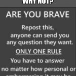 Don't make me regret this lol | WHY NOT? | image tagged in are you brave,question,repost | made w/ Imgflip meme maker