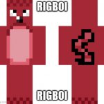 rigboi | RIGBOI; RIGBOI | image tagged in rigboi | made w/ Imgflip meme maker