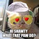 Fear And Loathing Cat Meme | HI SHAWTY  WHAT THAT PAW DO? | image tagged in memes,fear and loathing cat | made w/ Imgflip meme maker