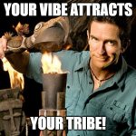 Your vibe attracts your tribe | YOUR VIBE ATTRACTS; YOUR TRIBE! | image tagged in survivor | made w/ Imgflip meme maker