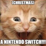 Excited Cat | (CHRISTMAS) A NINTENDO SWITCH!!! | image tagged in memes,excited cat | made w/ Imgflip meme maker