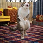 Gotta Go Cat | WHERE'S YOUR BATHROOM? | image tagged in memes,gotta go cat | made w/ Imgflip meme maker