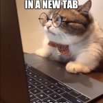 Youtube Tab | ME OPEN YOUTUBE IN A NEW TAB AT 3AM | image tagged in research cat | made w/ Imgflip meme maker