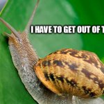 Snail | I HAVE TO GET OUT OF THE RAT RACE | image tagged in snail | made w/ Imgflip meme maker