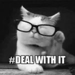 #Deal with it GIF Template