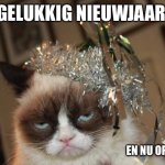 Gelukkig nieuwjaar | GELUKKIG NIEUWJAAR; EN NU OPZOUTEN | image tagged in grumpy cat new years | made w/ Imgflip meme maker