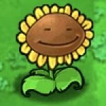 High sunflower meme