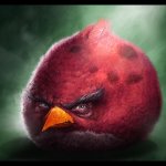 Realistic Angry Bird (big red) meme