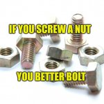 Be Who You Are | IF YOU SCREW A NUT; YOU BETTER BOLT | image tagged in nuts and bolts,soulmates,relationships,dating,roleplaying,identity | made w/ Imgflip meme maker