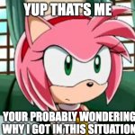 Unamused Amy Rose | YUP THAT'S ME; YOUR PROBABLY WONDERING WHY I GOT IN THIS SITUATION | image tagged in unamused amy rose | made w/ Imgflip meme maker