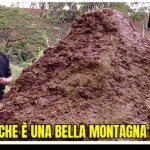 Questa si che è una bella montagna dimmerds