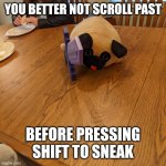 Bonjour | YOU BETTER NOT SCROLL PAST; BEFORE PRESSING SHIFT TO SNEAK | image tagged in doggo,greetings | made w/ Imgflip meme maker