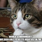 thinking cat | WOULD SCHRÖDINGER'S CAT HAVE BEEN ABLE TO SEE ITS DEAD SELF IN THE BOX? | image tagged in thinking cat | made w/ Imgflip meme maker