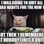 Not Aiming at Good Deeds | I WAS GOING TO QUIT ALL MY BAD HABITS FOR THE NEW YEAR BUT THEN, I REMEMBERED THAT NOBODY LIKES A QUITTER | image tagged in salad cat,meme,memes,new year resolutions,happy new year | made w/ Imgflip meme maker