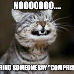 Grammar Cat | NOOOOOOO.... ON HEARING SOMEONE SAY "COMPRISING OF" | image tagged in memes,grammar,cat | made w/ Imgflip meme maker