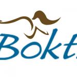 Bokt meme