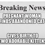 newspaper | PREGNANT WOMAN FINDS ABANDONED CAT; GIVES BIRTH TO TWO ADORABLE KITTENS | image tagged in breaking news | made w/ Imgflip meme maker
