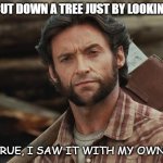 Daily Bad Dad Joke Dec 29 2021 | I CAN CUT DOWN A TREE JUST BY LOOKING AT IT. IT'S TRUE, I SAW IT WITH MY OWN EYES! | image tagged in wolverine lumberjack | made w/ Imgflip meme maker