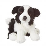 Plush Border Collie Front