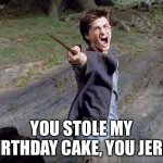 Harry Potter Yelling | YOU STOLE MY BIRTHDAY CAKE, YOU JERK! | image tagged in harry potter yelling | made w/ Imgflip meme maker