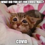 Sad Kitty Sick In Bed | WHAT DID YOU GET FOR CHRISTMAS ? COVID . | image tagged in sad kitty sick in bed,covid | made w/ Imgflip meme maker