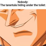 welcome to Brazil where everything is deadlier than ur grandparents | Nobody:
The tarantula hiding under the toilet: | image tagged in vegeta evil smile,hehe boi | made w/ Imgflip meme maker