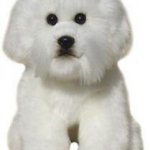 Plush Bichon Frise Front template