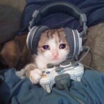 Sad Gamer cat with headphones crying while playing video games meme