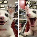 My favorite | Shopping with
   Mom is fun; When she buys  
Cap'n Crunch | image tagged in happy puppy,captain crunch cereal,killer,breakfast,snacks | made w/ Imgflip meme maker