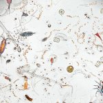 sea water