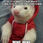 Ferret in da Club | FERRET LAWS,,IF IT LOOKS LIKE  MINE  ITS  MINE, IF YOU DROP IT  ITS MINE, IF I SEE IT FIRST  ITS  MINE,,IF  I  LIKE   IT  ITS  MINE,,IF ITS IN MY MOUTH ITS  MINE, IF YOU PUT SOMETHING DOWN ITS MINE, MINE ,MINE MINE MINE MINE | image tagged in ferret in da club | made w/ Imgflip meme maker