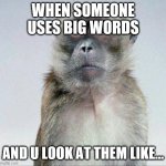 Say What?! | WHEN SOMEONE USES BIG WORDS; AND U LOOK AT THEM LIKE... | image tagged in blank face stare | made w/ Imgflip meme maker