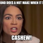 AOC | WHAT SOUND DOES A NUT MAKE WHEN IT SNEEZES? CASHEW! | image tagged in aoc | made w/ Imgflip meme maker