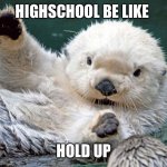 Otter hold up