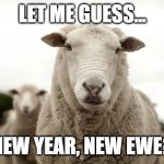 New Year, New Ewe | LET ME GUESS... NEW YEAR, NEW EWE? | image tagged in sheep | made w/ Imgflip meme maker