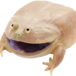 Wednesday toad meme