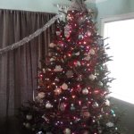 My tree