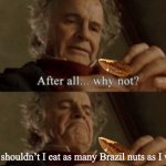 After all.. why not? | Why shouldn’t I eat as many Brazil nuts as I want? | image tagged in after all why not | made w/ Imgflip meme maker