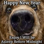 bear | Happy New Year; Enjoy I Will be Asleep Before Midnight | image tagged in bear | made w/ Imgflip meme maker